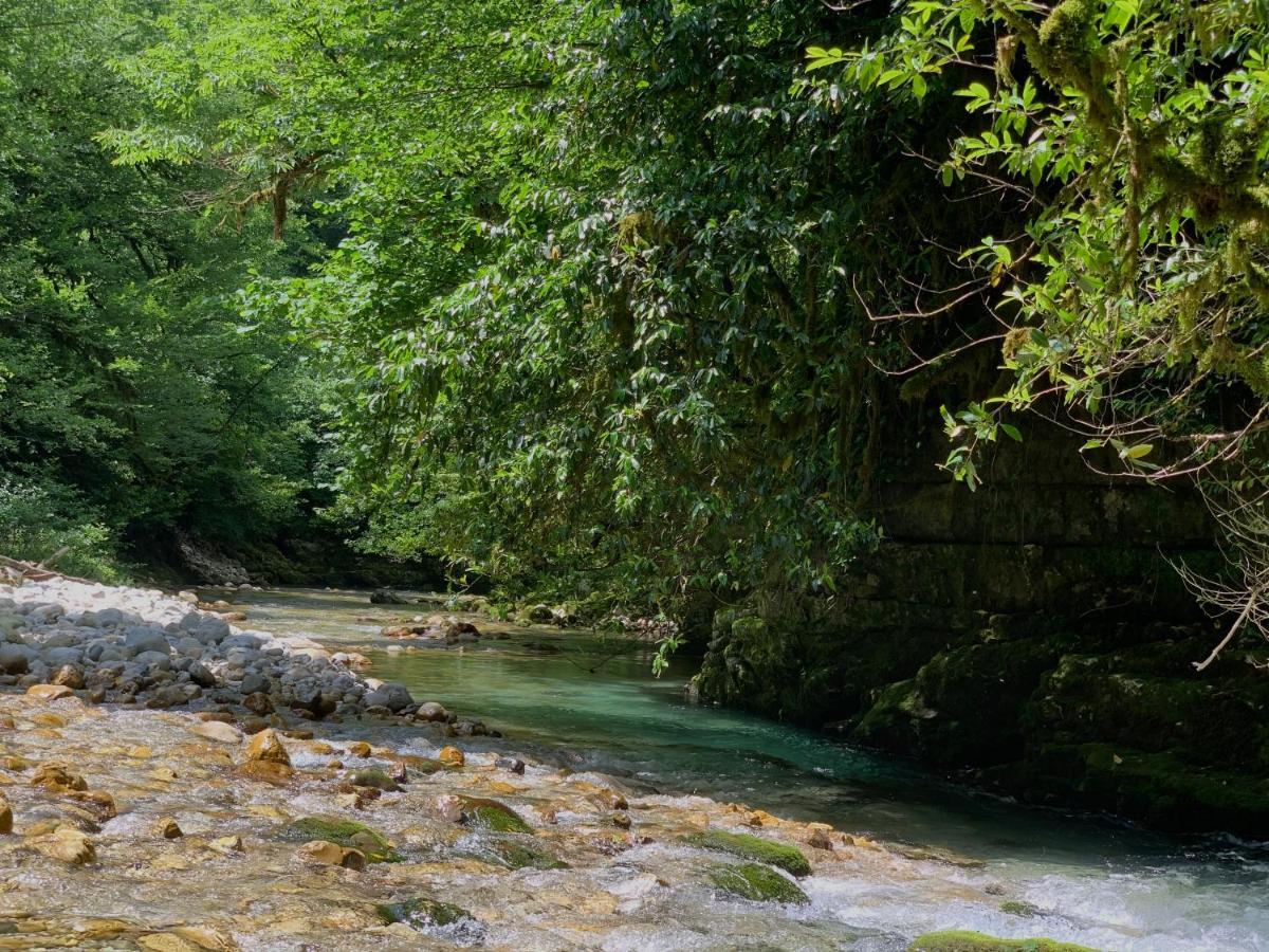 Nahei Cottage Martvili Luaran gambar