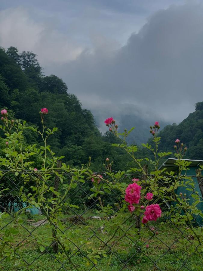 Nahei Cottage Martvili Luaran gambar